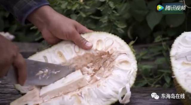 史前巨鳄3 推荐视频