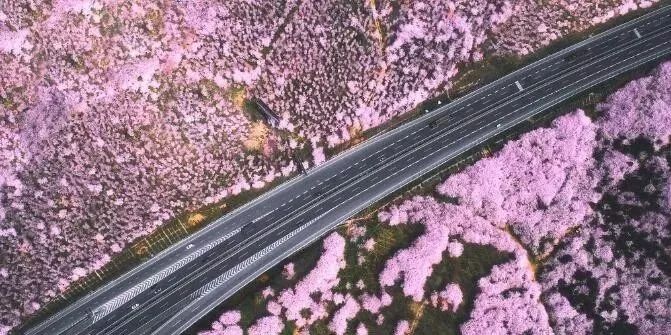 伴你高飞1998 推荐视频