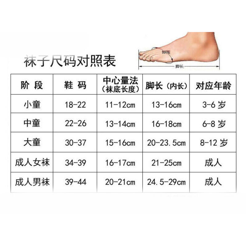 仙踪乐园 推荐视频