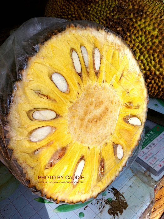 传奇之门 推荐视频