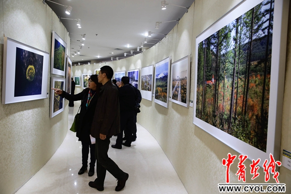 伯斯特的心 推荐视频