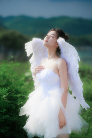 偷破天际线 产品图片