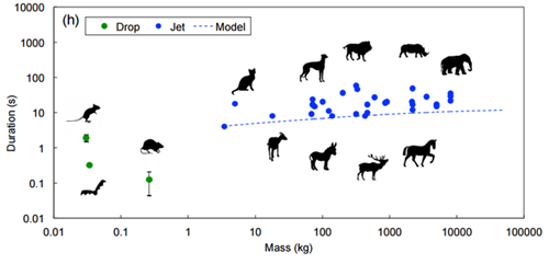 人鱼童话2 产品图片