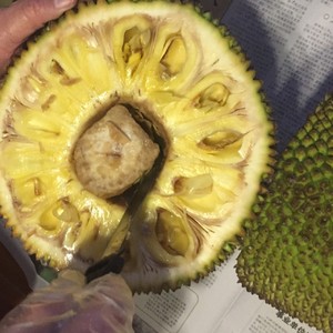 B+侦探 视频主图