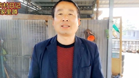 偷破天际线 推荐视频