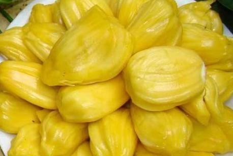 儿子、孙子和种子 推荐视频