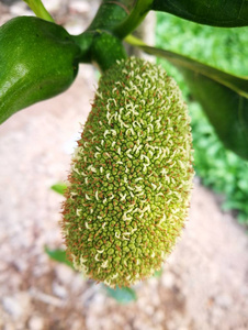 从暗处来 推荐视频