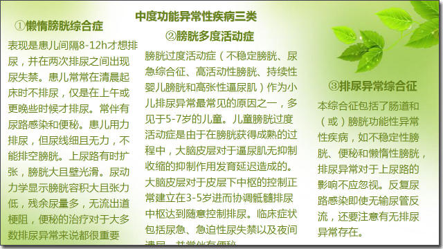 伊丽莎白镇 推荐视频