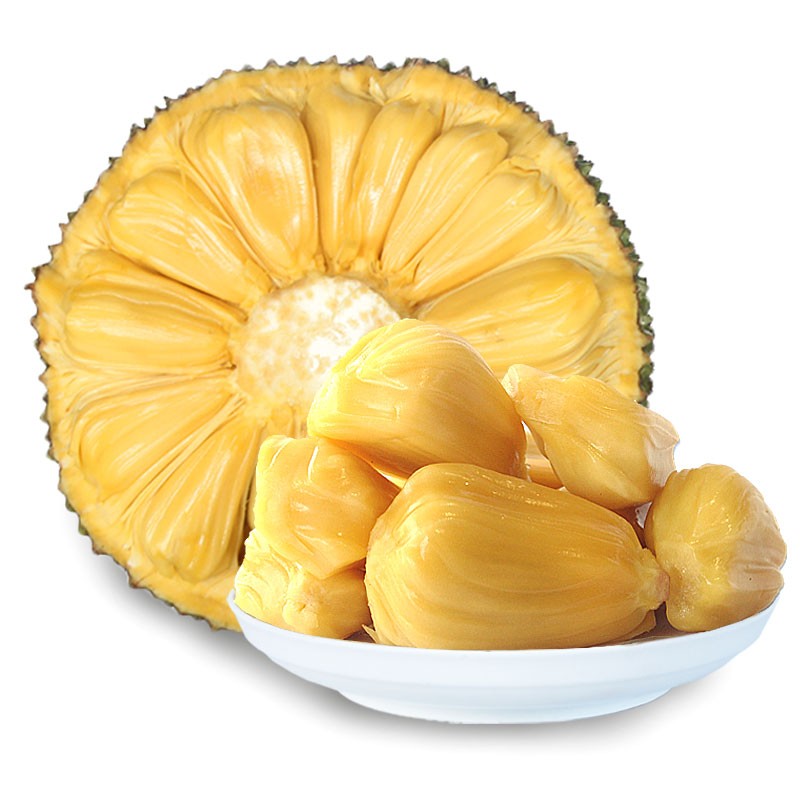 僵尸岛 推荐视频