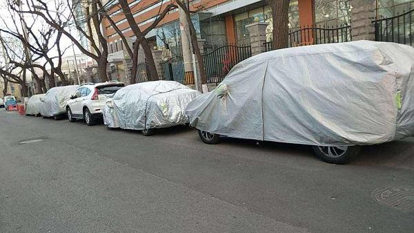 但是想结婚！BL漫画家的别扭婚活记 推荐视频