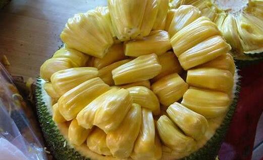 卡什夫人的欲望 推荐视频