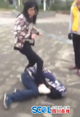 假日惊情 产品图片