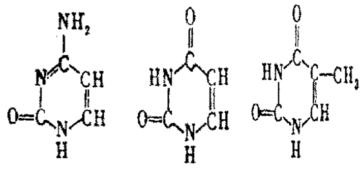 军团孤程 推荐视频