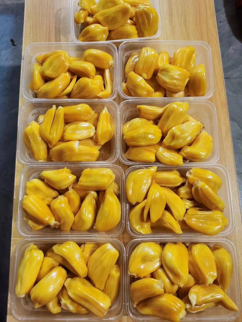 地心引力 推荐视频