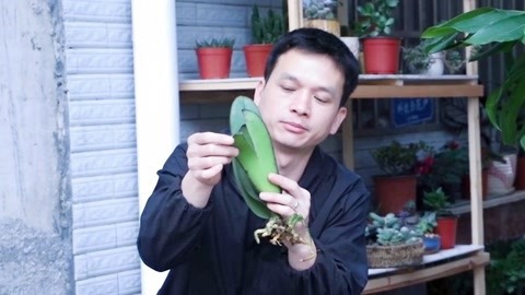 你会在那里吗？ 推荐视频