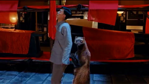 从头再来 推荐视频