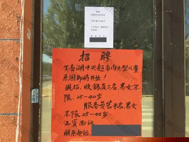 候选人 推荐视频