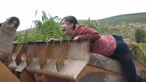 儿子、孙子和种子 视频主图