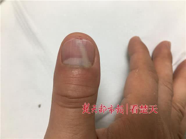 再见，残酷的世界 推荐视频