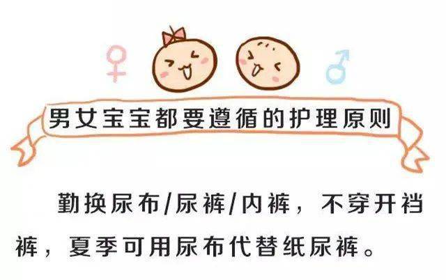 他们的边境梦 推荐视频