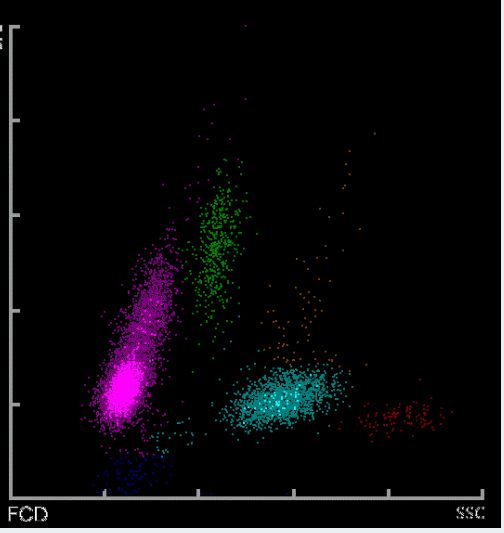 住在家里的杰夫 视频主图
