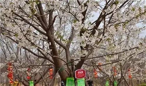 修仙传之炼剑 推荐视频