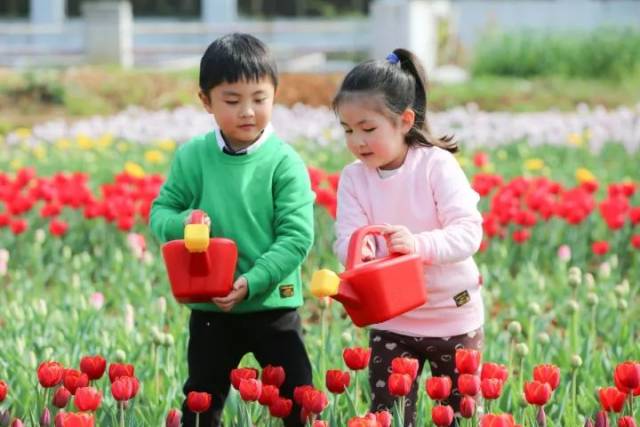 倔强萝卜 推荐视频