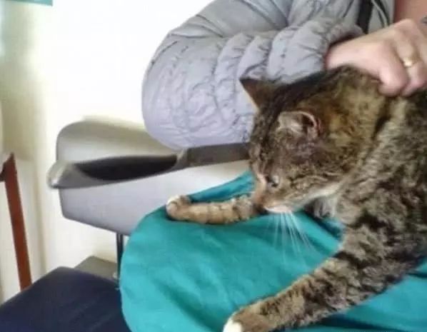 回应我 产品图片