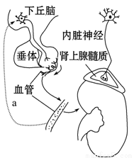 冰雪金达莱 产品图片