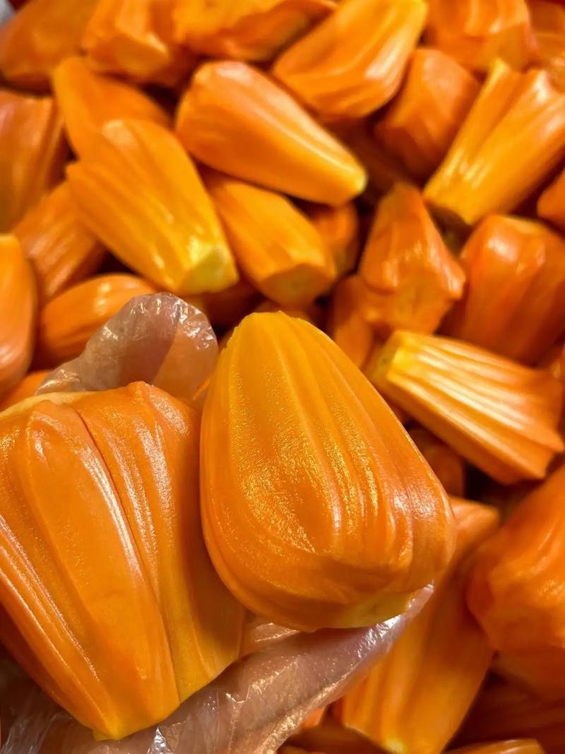 侠胆医心之危机重重 推荐视频