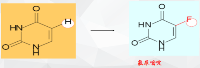 儿娃子 推荐视频