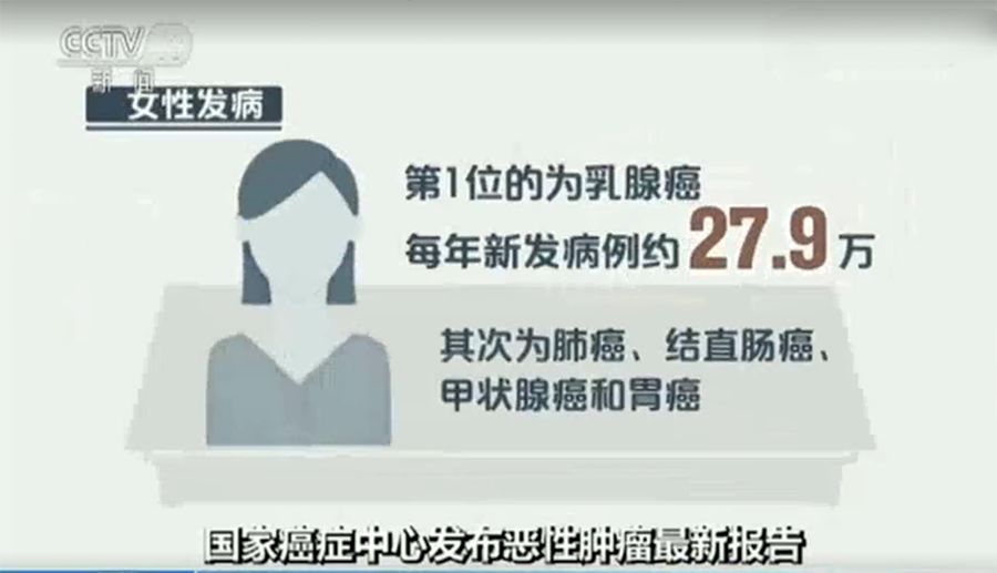 你好布拉德 产品图片