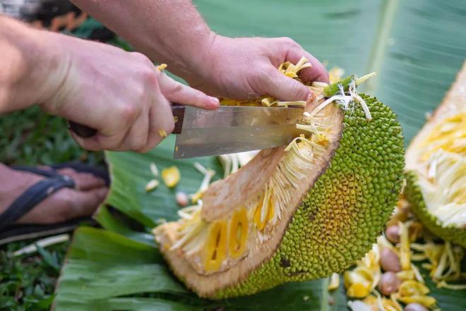 你因你是你 推荐视频