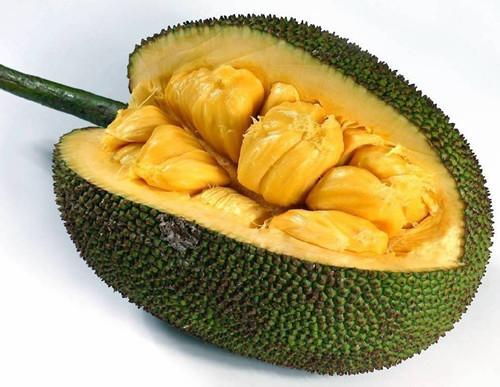 变蝇人 产品图片