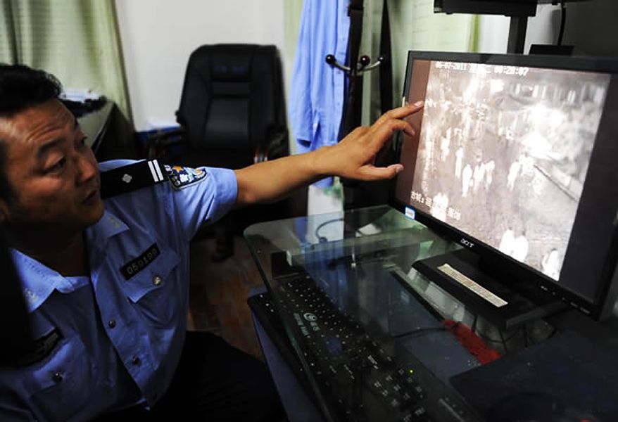 他是龙 产品图片