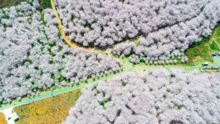 低俗青春 推荐视频