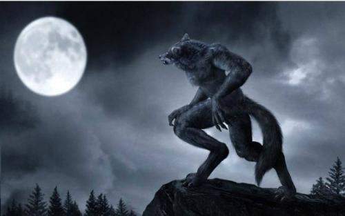 凤凰劫（粤语版） 产品图片