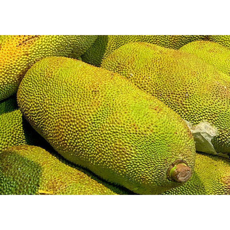 二哥来了怎么办 视频主图