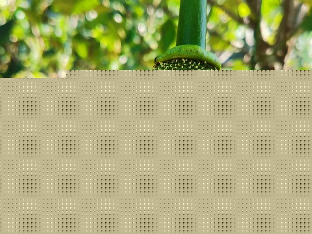 你看起来好像很好吃 推荐视频