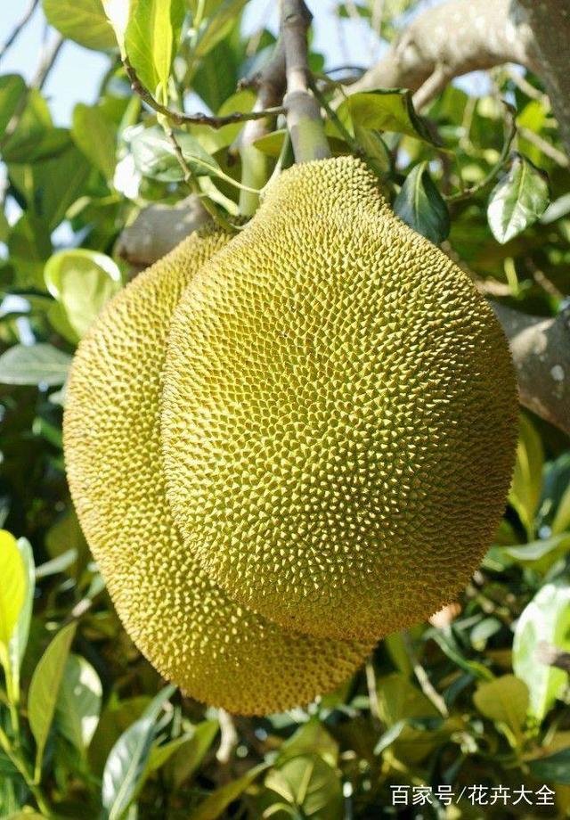 伞少女 推荐视频