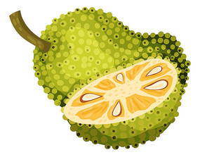 伤心的解药 推荐视频