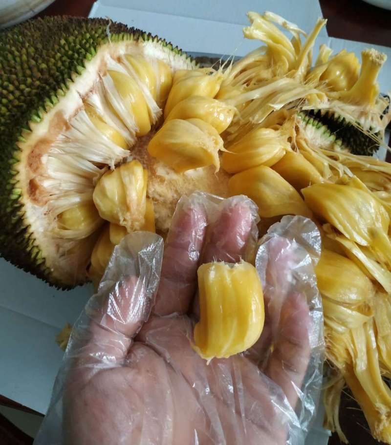 冒牌大贼 冒牌大賊 推荐视频