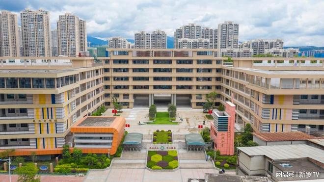 伪信者2 推荐视频