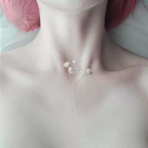 四月物语 产品图片