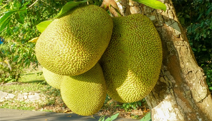 亿万少年的顶级机密