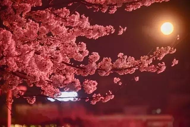 危险水域 产品图片