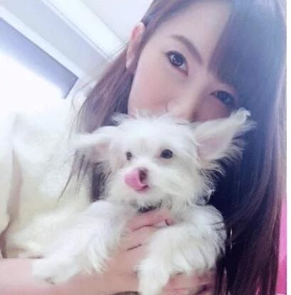 伸冤人3 推荐视频