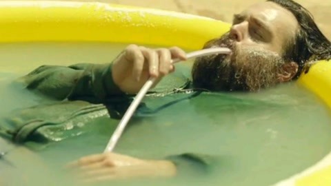 向日葵 推荐视频