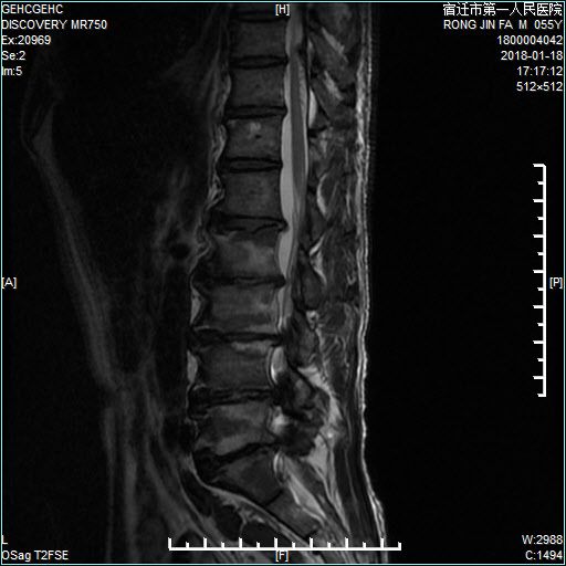 体外实验 推荐视频