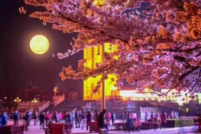 体外实验 推荐视频